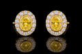 Fancy Yellow & White Diamond Earrings (ear210-1)