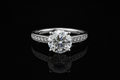 Round Diamond Pavé Solitaire Engagement Ring (eng631)